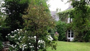 Een tuin met een bank, een boom met witte bloemen, en een gebouw dat gedeeltelijk verborgen is door begroeiing.
