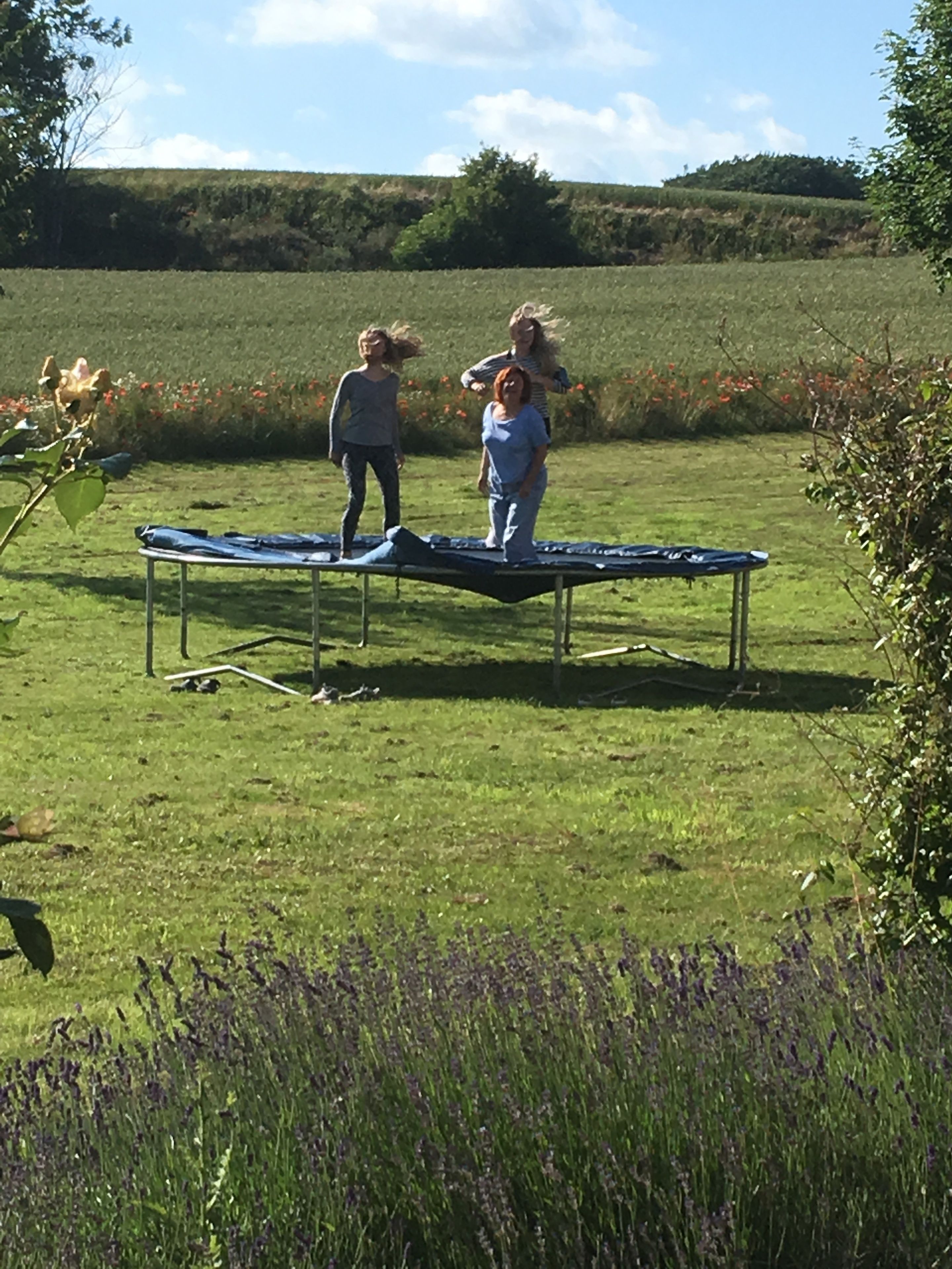 A trampoline in a grassy field with a clear sky.
