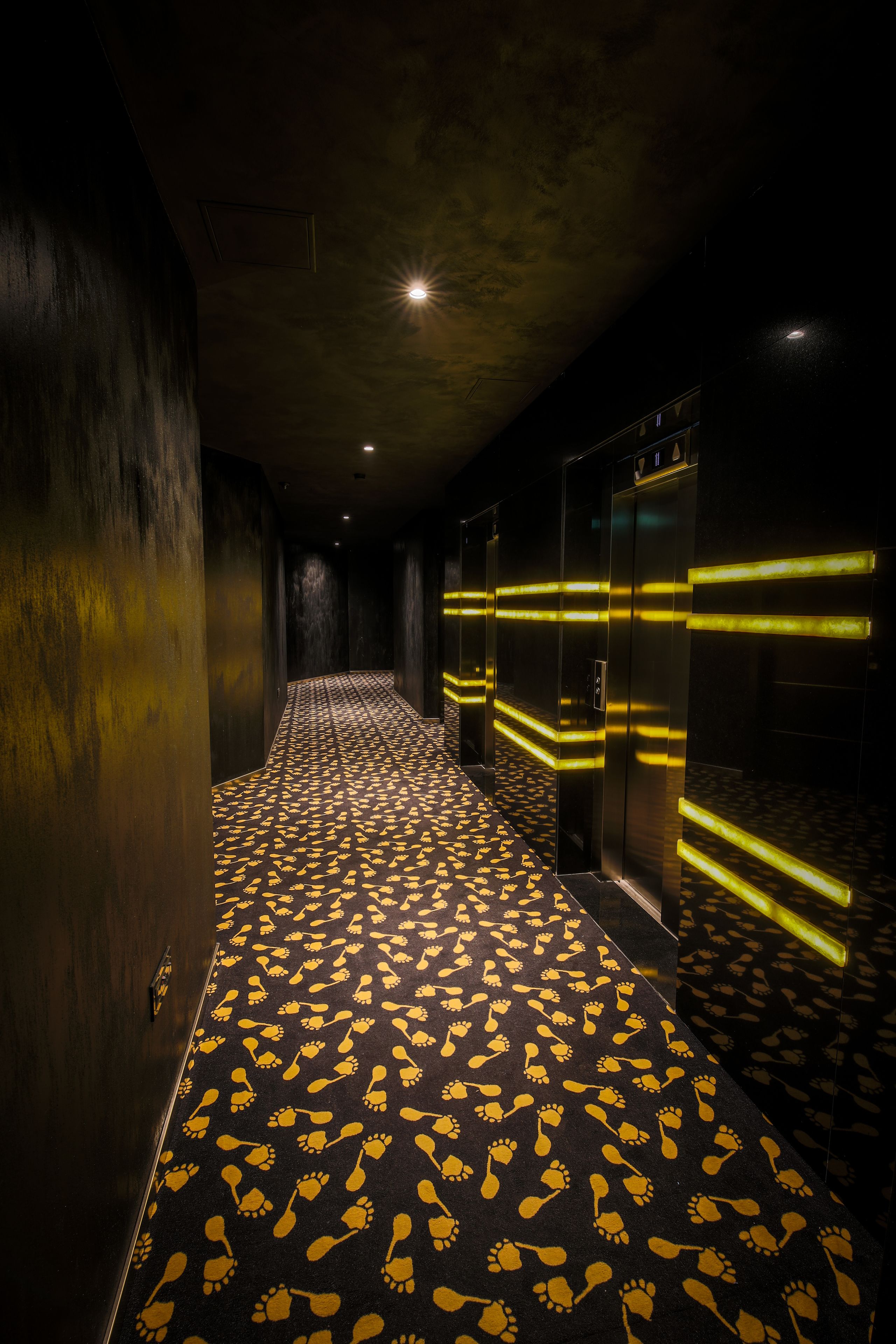 Un couloir avec un tapis à motifs, des portes d’ascenseur et des bandes lumineuses sur les murs.
