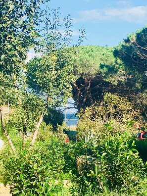 View from property - Résidence Filippi (Porto-Vecchio)