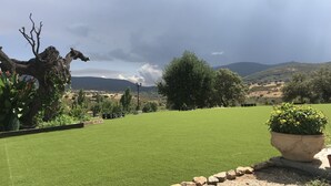 A well-maintained lawn with a stone border, a large potted plant, and a rustic tree. - Finca Encinar de las Flores (Los Navalucillos)