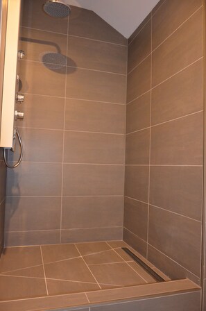 Ducha, secador de pelo, toallas