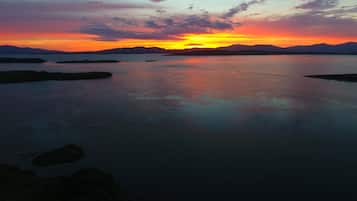 Ranta