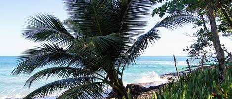 Chaises longues, parasols