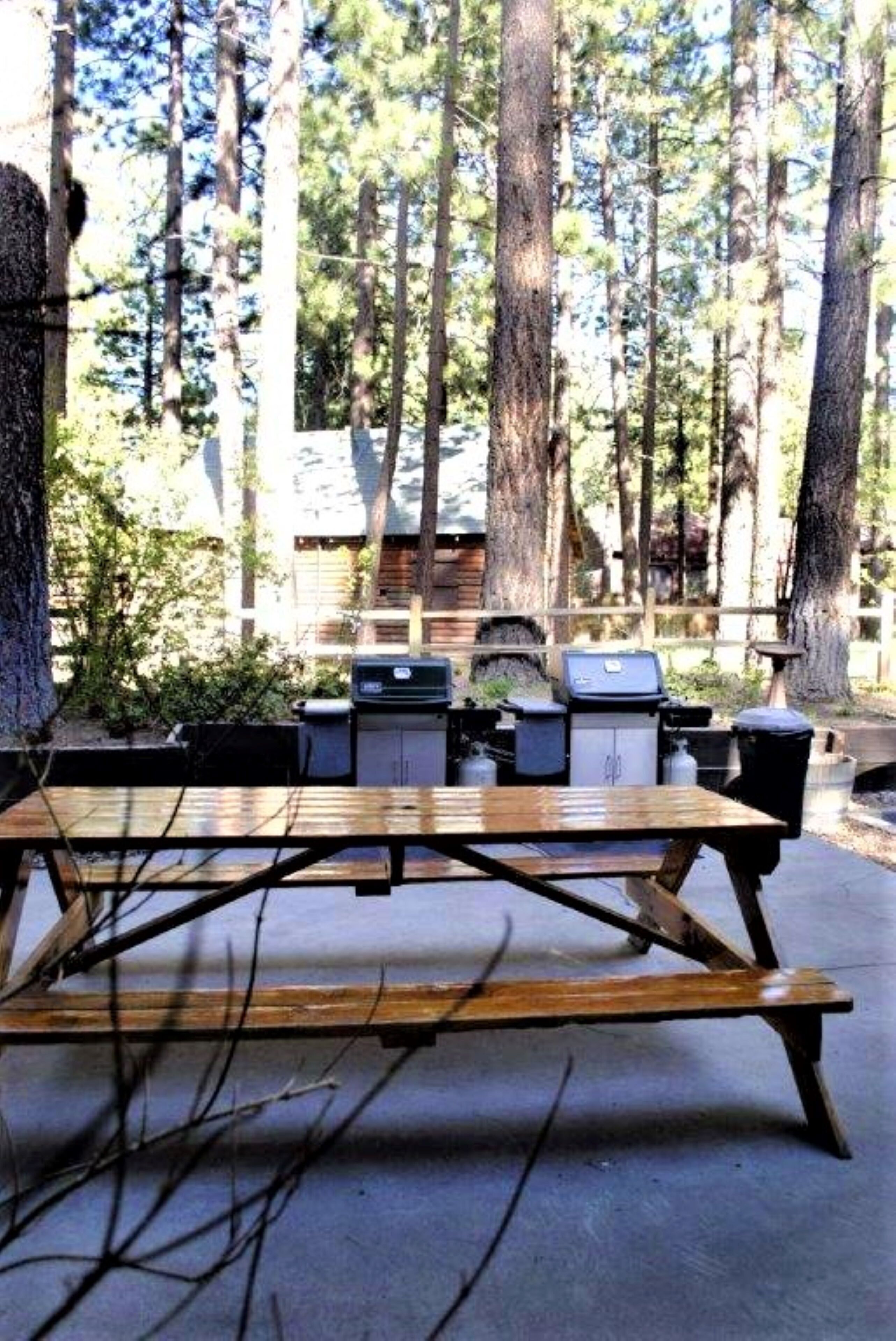 Un área de comedor al aire libre con una mesa de picnic y una parrilla, rodeada de árboles altos.