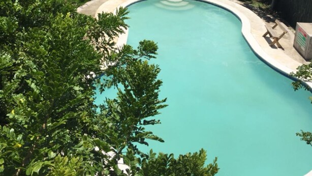 Una piscina envoltada de vegetació exuberant, una estructura de fusta amb teulada i una escala que hi mena.