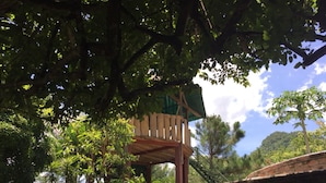 Una terrassa de fusta amb teulada verda, envoltada de vegetació i arbres frondosos.