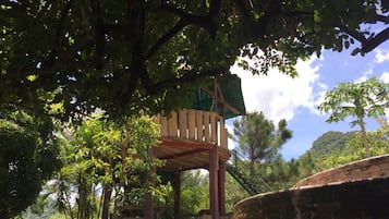 Jardín
