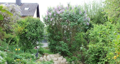 Apartment Rose - Apartments Dippold