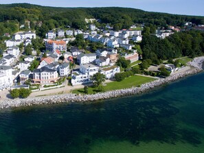 Aerial view - Herring Gull, Germany (Sassnitz)