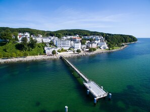 Aerial view - Herring Gull, Germany (Sassnitz)