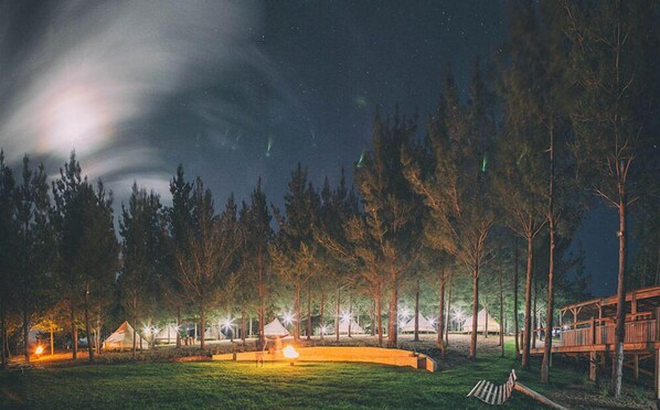 Property grounds - Cherry Glamping (Grabouw)