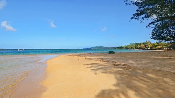 Une plage avec une eau d’un bleu limpide, un rivage sablonneux et une table de pique-nique verte.
