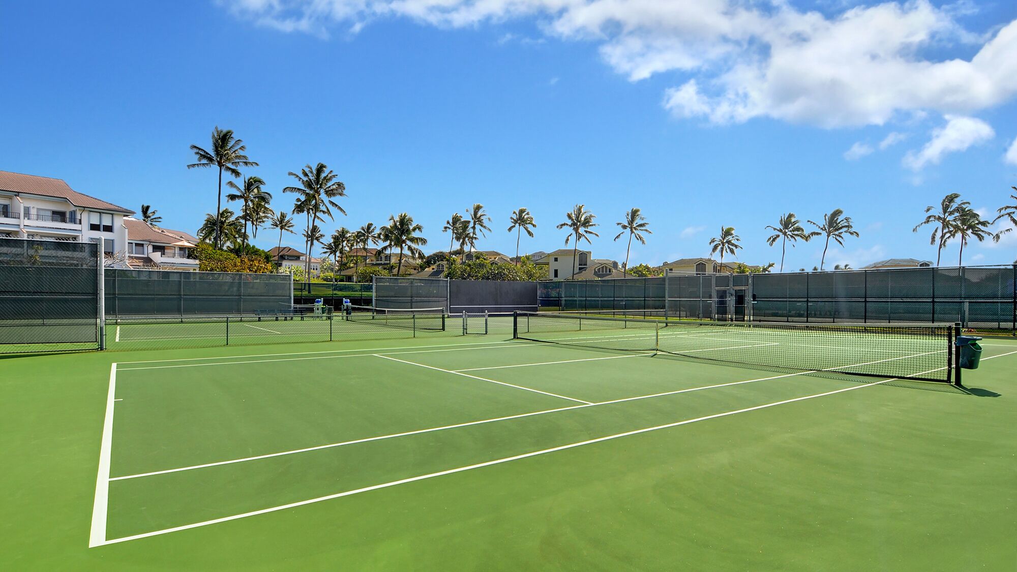 En tennisbana med ett grönt underlag, omgiven av ett staket och palmer.