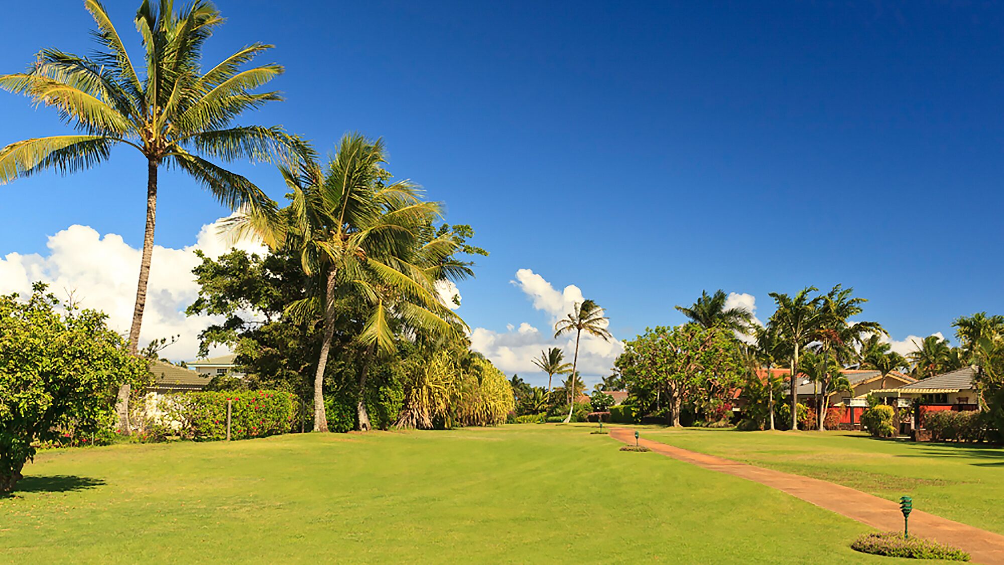 A well-maintained golf course with lush greenery, palm trees, and a clear blue sky.