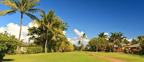 A well-maintained golf course with lush greenery, palm trees, and a clear blue sky.