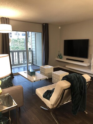 TV, music library, video library, stereo