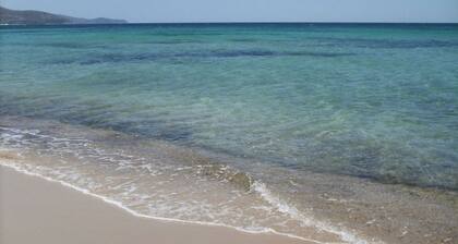 Villa Sant'Andrea: Sea, Garden, WiFi, Air Conditioning, Parking I.U.N. R5885