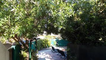 Terraço/pátio