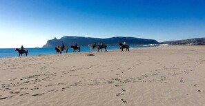 Plage, chaises longues