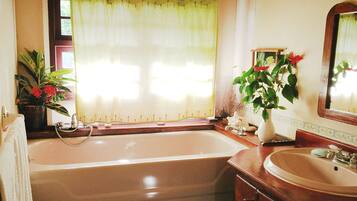 Combined shower/bathtub, hair dryer, towels