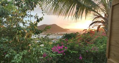 Top of the Hill Two Bedroom Apartment, Rodney Bay