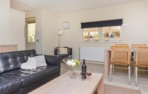 TV, fireplace, DVD player