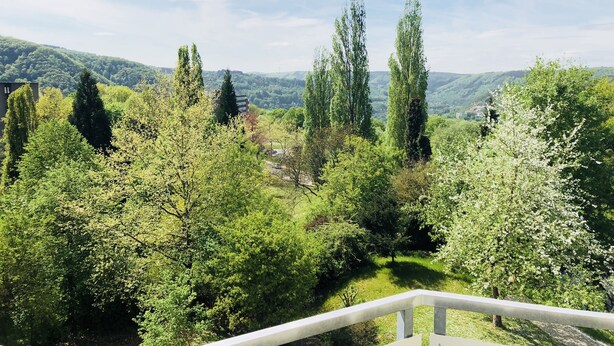 A lush green landscape with a variety of trees and a distant view of hills. - Appartemens Haus Maria Anna (Bad Ems)