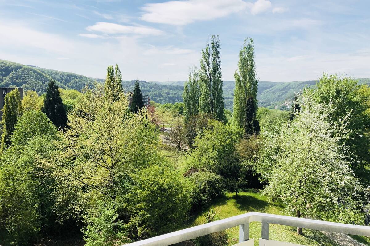 Un paysage verdoyant et luxuriant, parsemé de différents types d’arbres, avec une vue lointaine sur des collines.