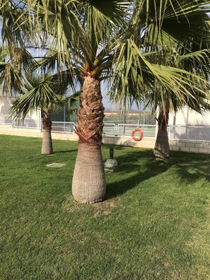 Terrein van de accommodatie