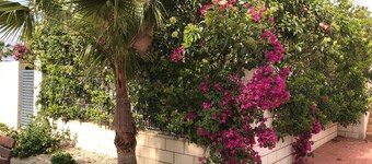 Vinaros: apartment with large terrace and garden