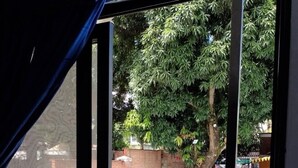 A view from a room with a sliding glass door to an outdoor area with a swimming pool, a brick wall, and a tree. - Hotel La Gran Mansion De La Negra (Melgar)