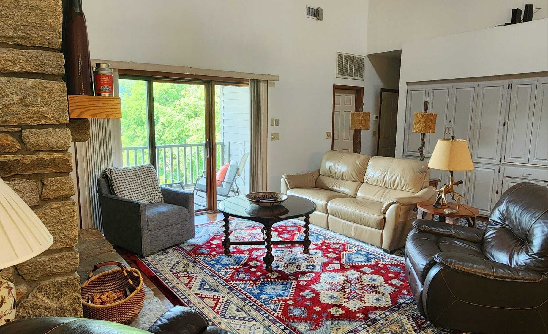 tv, fireplace, books, stereo