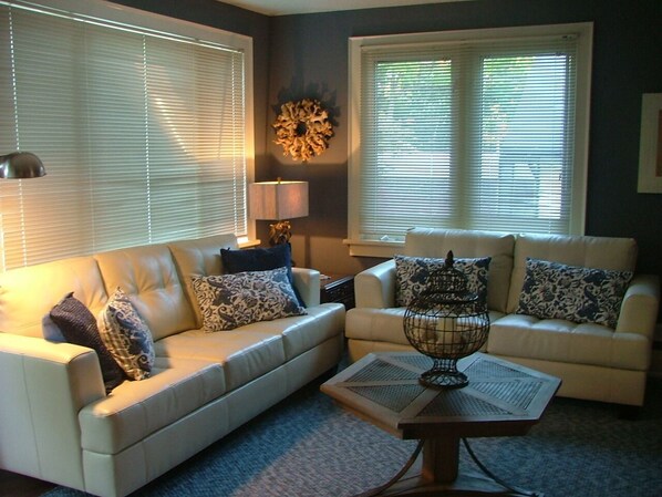 Fernseher, Kamin, DVD-Player, Videothek