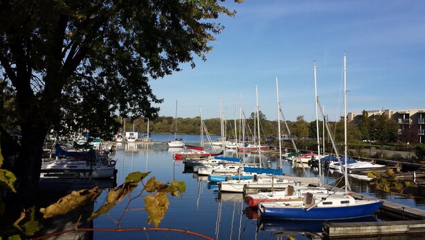 A marina with various boats docked, surrounded by trees and buildings in the background. - Charming Cottage in Fabulous Location in Niagara on the Lake (Niagara-on-the-Lake)