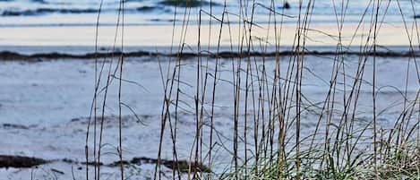 En la playa, camastros y toallas de playa