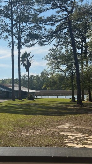 A grassy area with trees, a body of water, and a building with a metal roof.