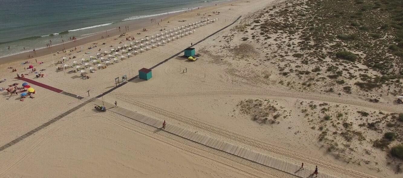 A beach with rows of umbrellas and sun loungers, a lifeguard tower, and a sandy path.