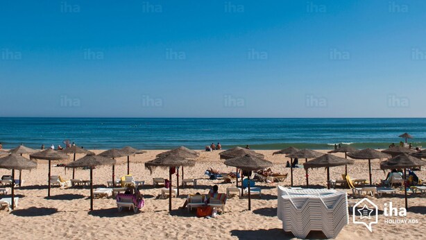 A beach with sun loungers and umbrellas, a clear sky, and the ocean in the background.