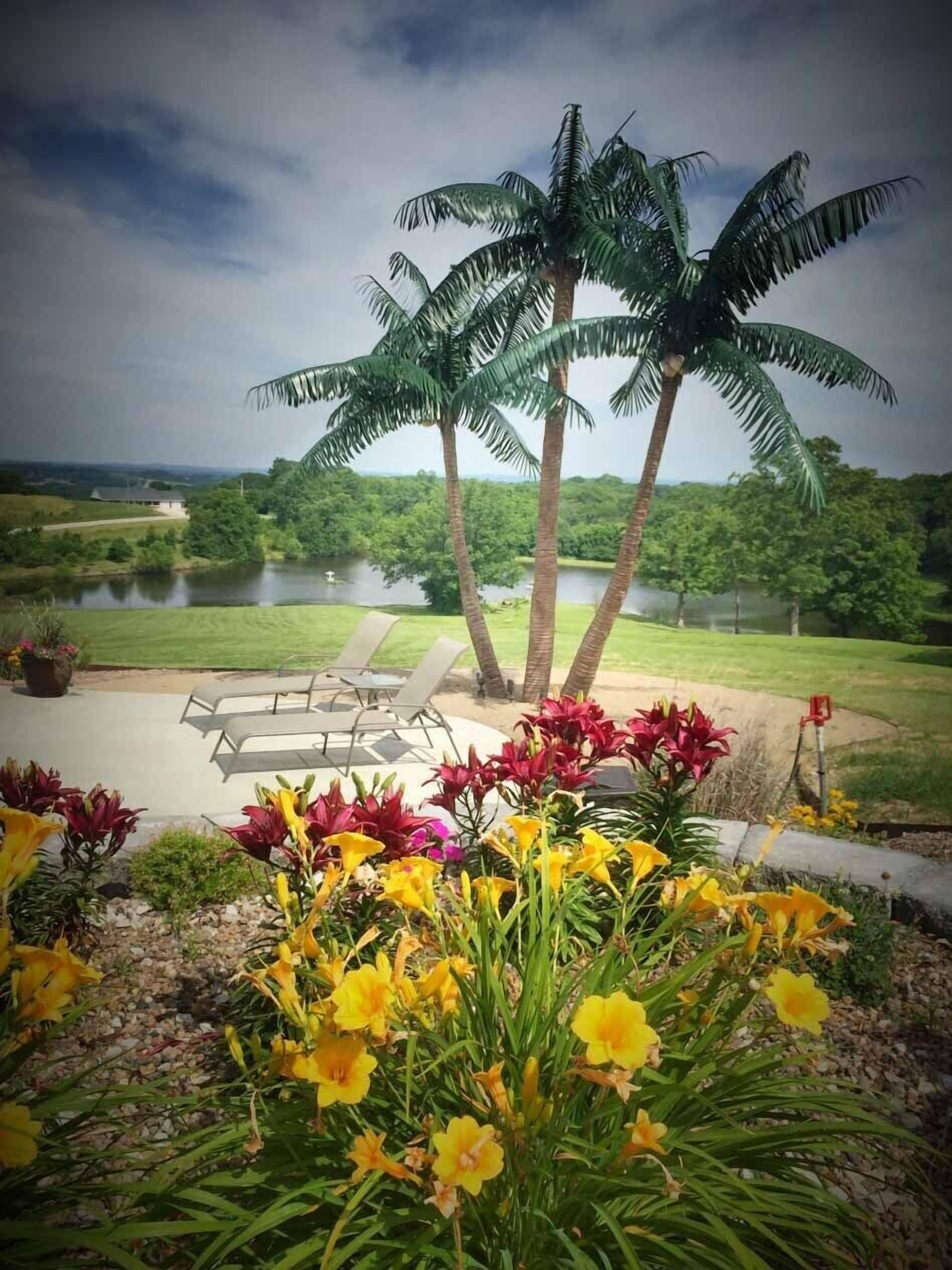 Área da propriedade