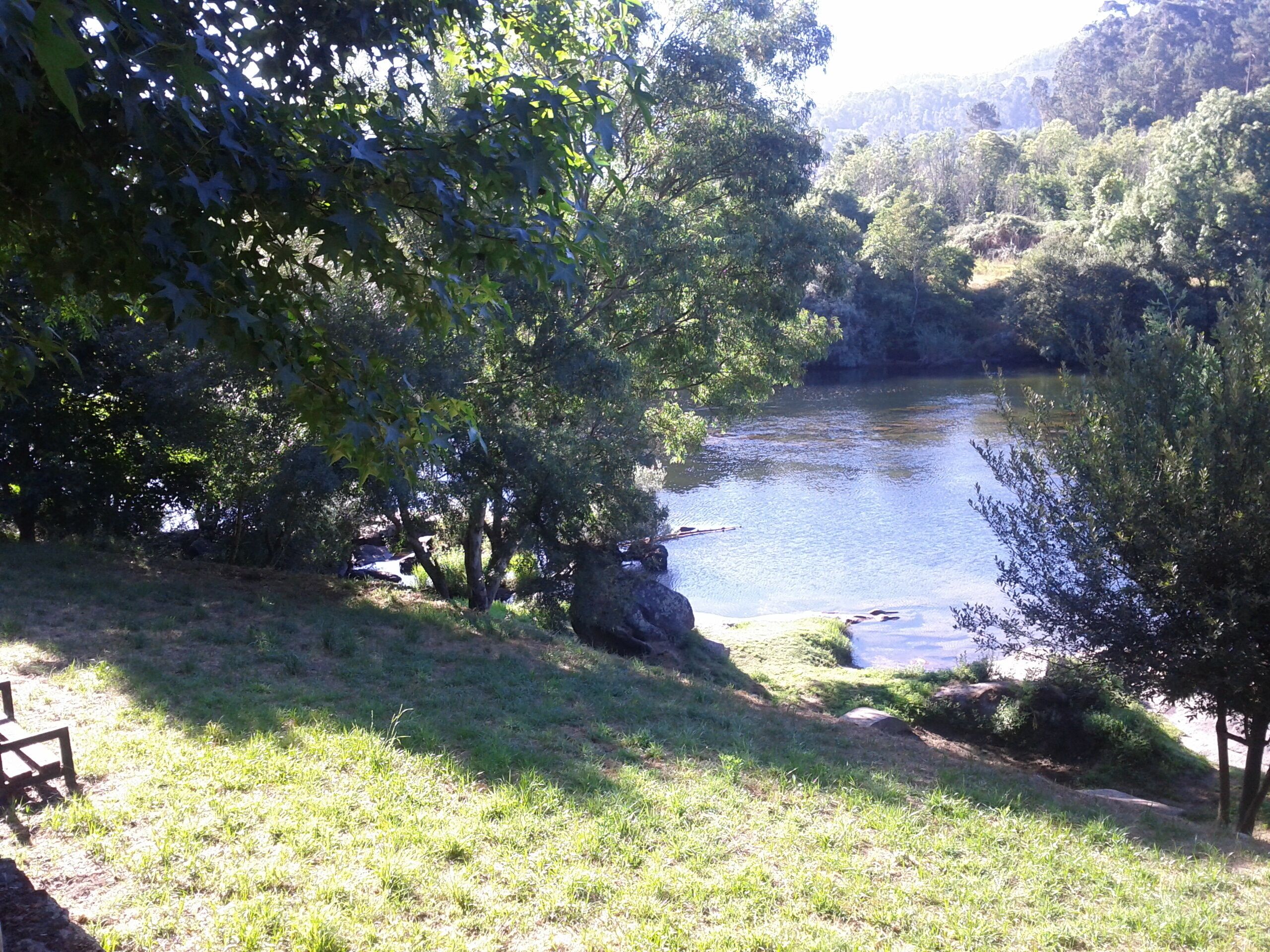 A serene lakeside setting with a grassy area and a wooden bench.