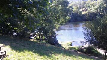 A serene lakeside setting with a grassy area and a wooden bench.
