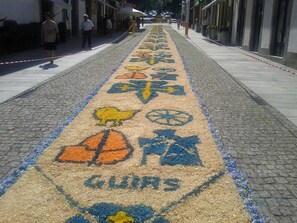 A cobblestone street with a colorful mosaic pattern. - Local tourism - Casas da Nazare - Ponte de Lima (Ponte de Lima)