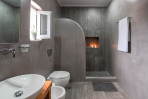 Shower, hair dryer, bidet, towels