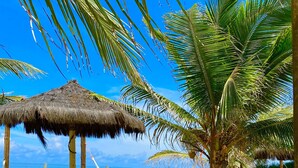 Escena de playa con una hamaca, sombrillas de paja y palmeras.