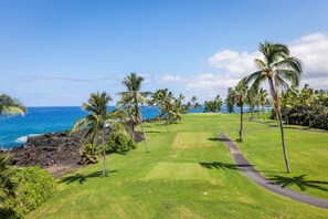 Un campo de golf con vista al océano y palmeras.