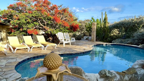 Una piscina con una fuente de agua, rodeada de sillas de descanso y un árbol con flores rojas.