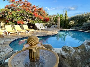 Una piscina con una fuente de agua, rodeada de sillas de descanso y un árbol con flores rojas.