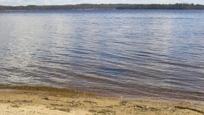 Un lago tranquilo con orilla arenosa y un bosque al fondo.