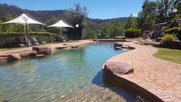A clear swimming pool with lounge chairs and umbrellas, surrounded by greenery and a hilly landscape. - PINNACLE VALLEY Chalet 11 SHERPA'S REST (Merrijig)